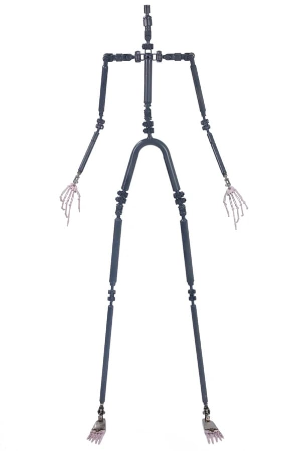 Nouveau squelette Starpery Sex Doll